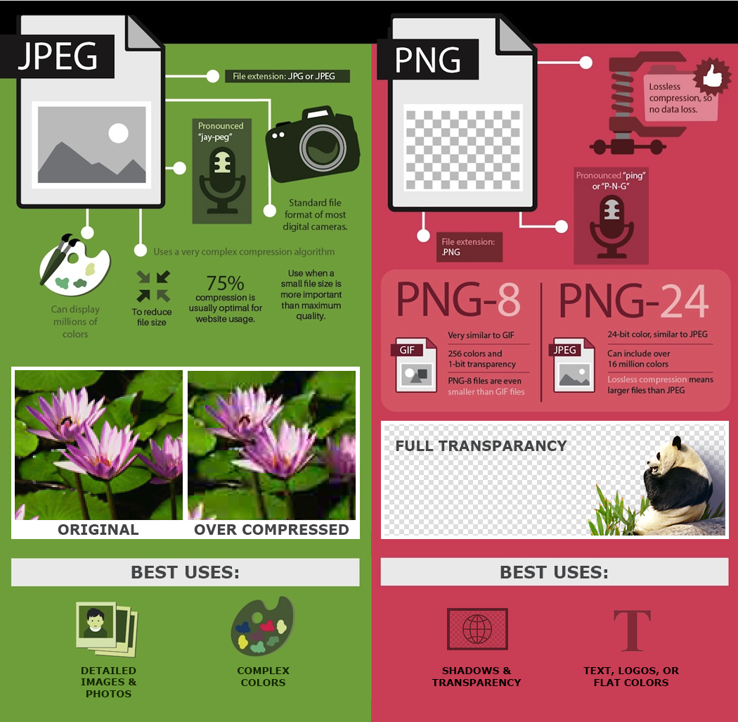 Optimization-Infographic.png